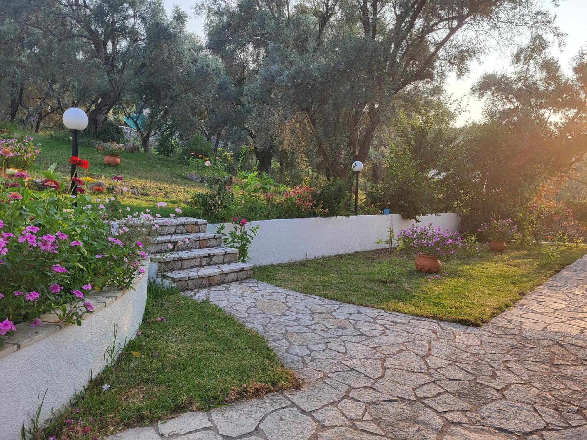 Dimitra Studios Lefkáda Esterno foto